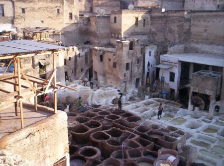 Fès - Les tanneries